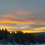 Mimi 302 Eko Fis Vlašić